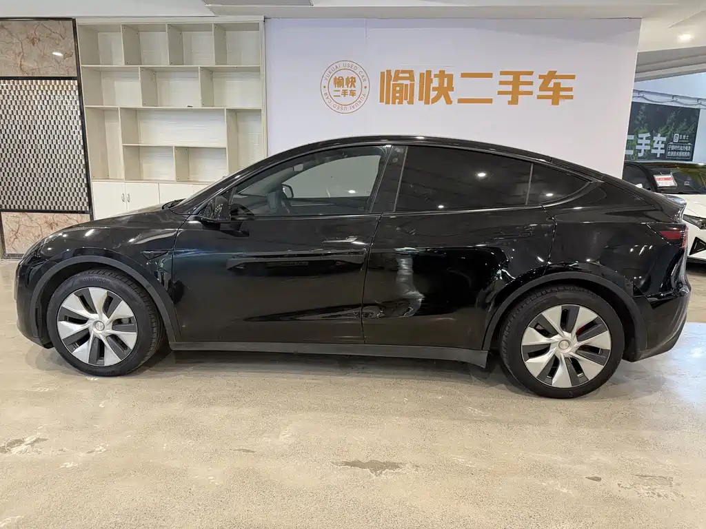 Tesla Model Y — миниатюра 4