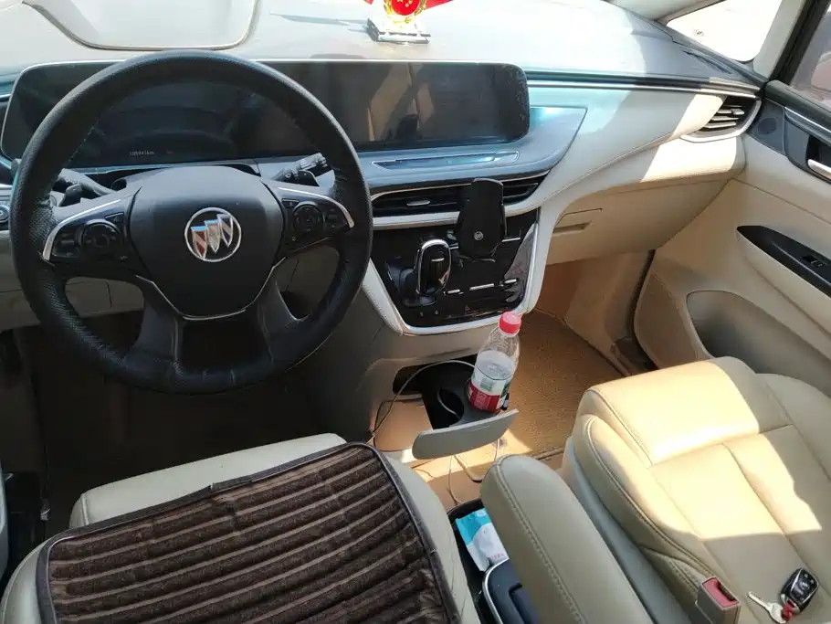 Buick GL8 — миниатюра 12