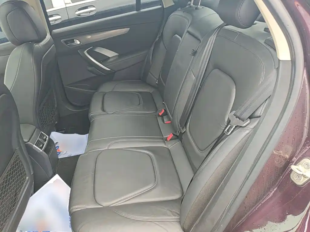 DS DS 5LS — миниатюра 17