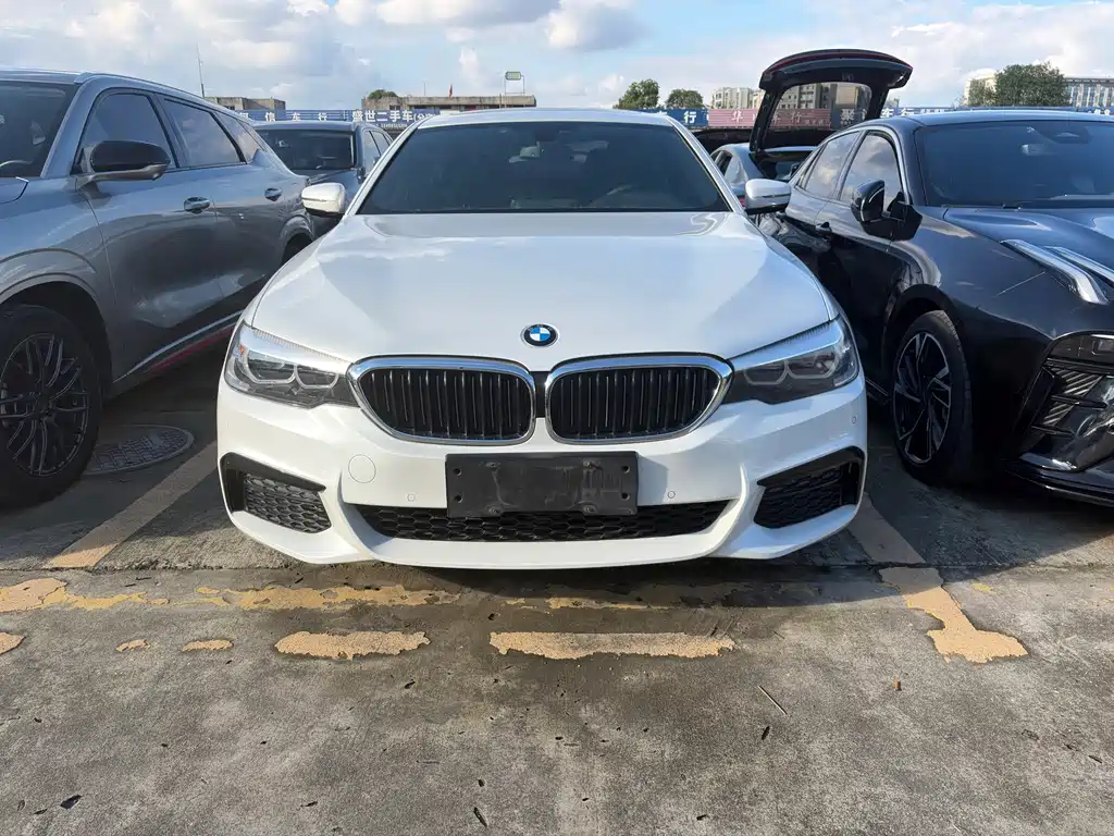 BMW 5 Series — миниатюра 2