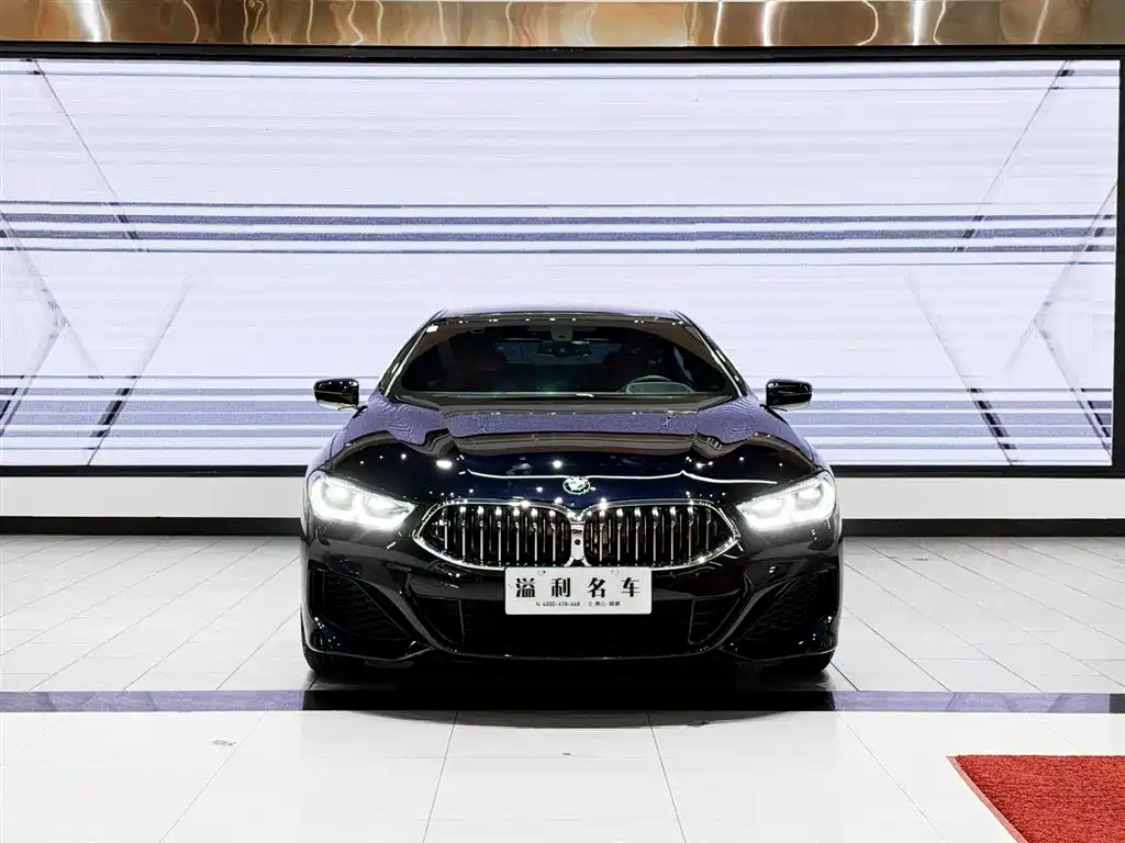 BMW 8 SERIES