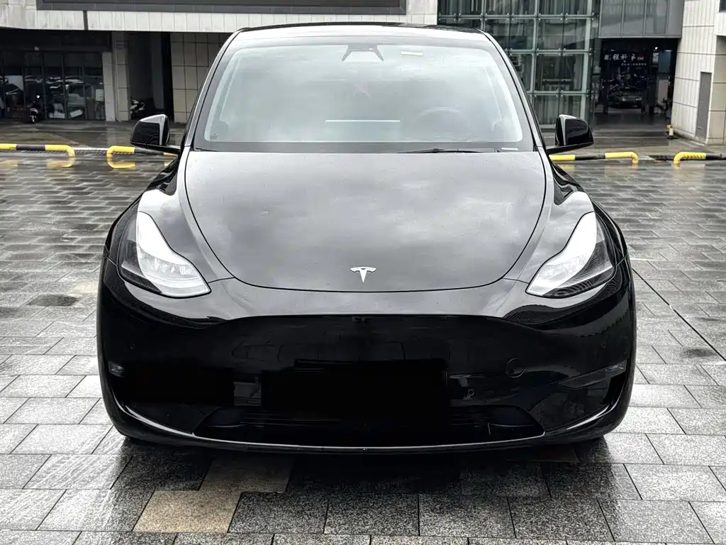 Tesla Model Y — миниатюра 3