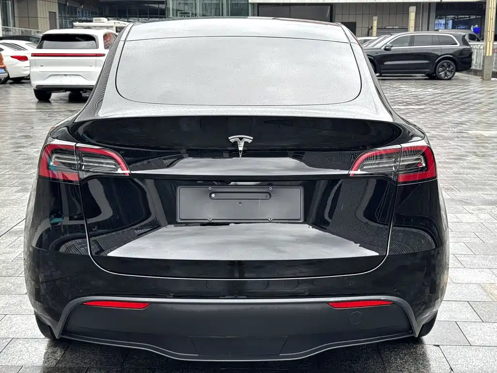 Tesla Model Y — миниатюра 8