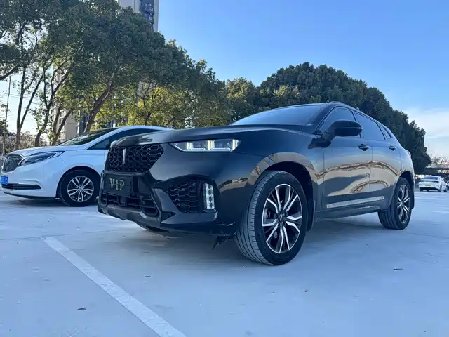 2018 Wey VV7