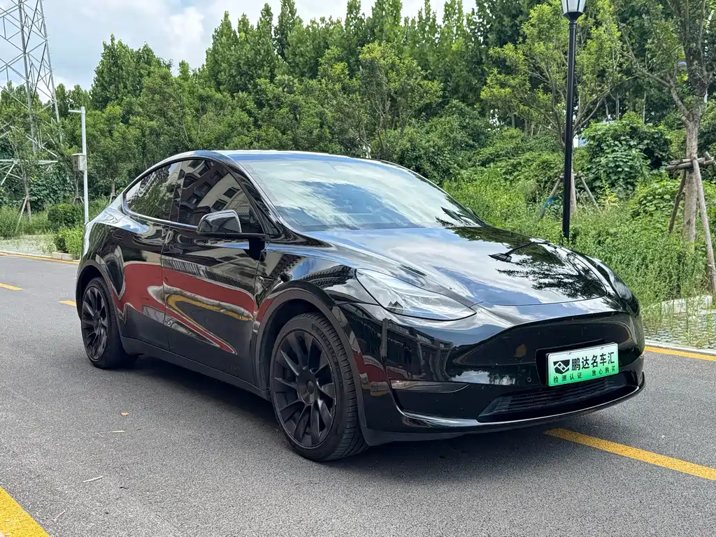 Tesla Model Y — миниатюра 3