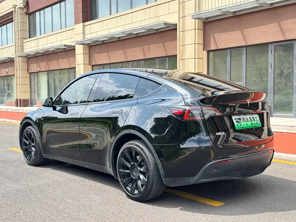 Tesla Model Y — миниатюра 9