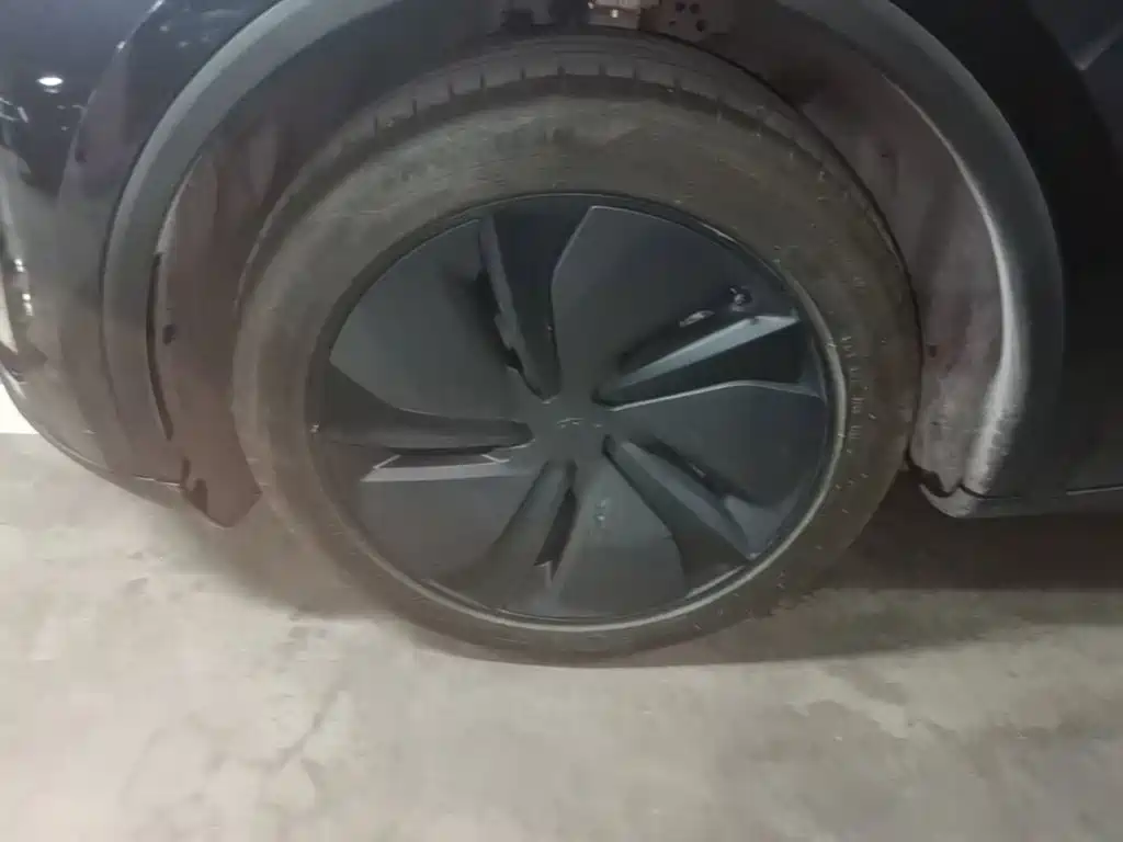 Tesla Model Y — миниатюра 23