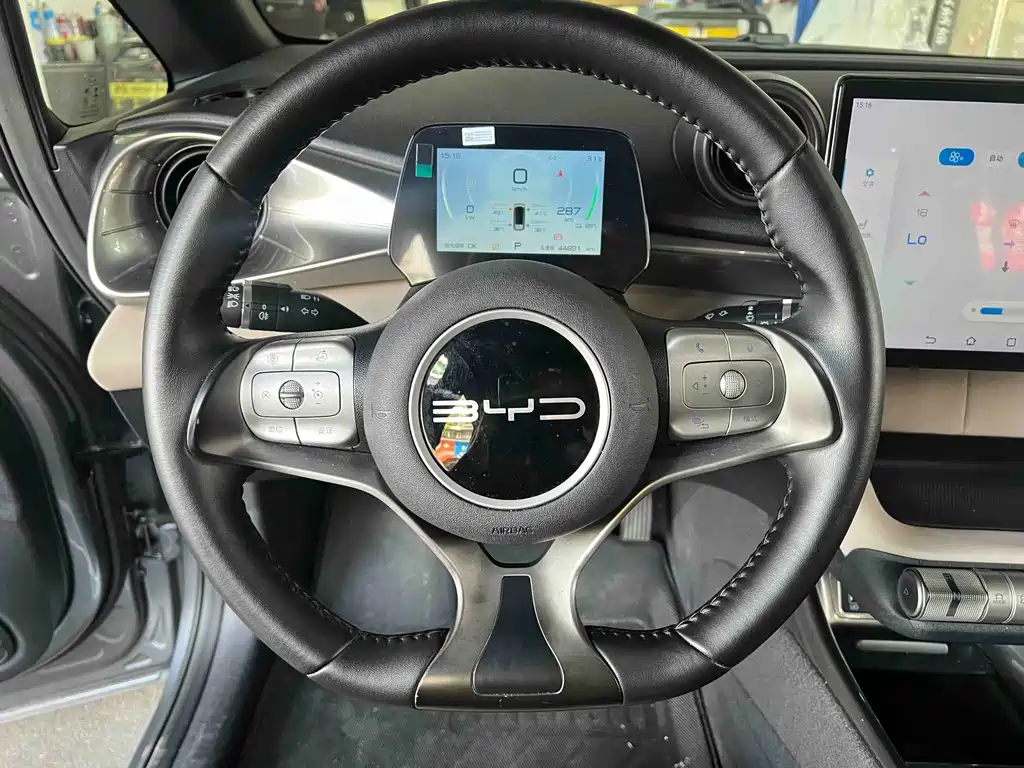 BYD Dolphin — миниатюра 4