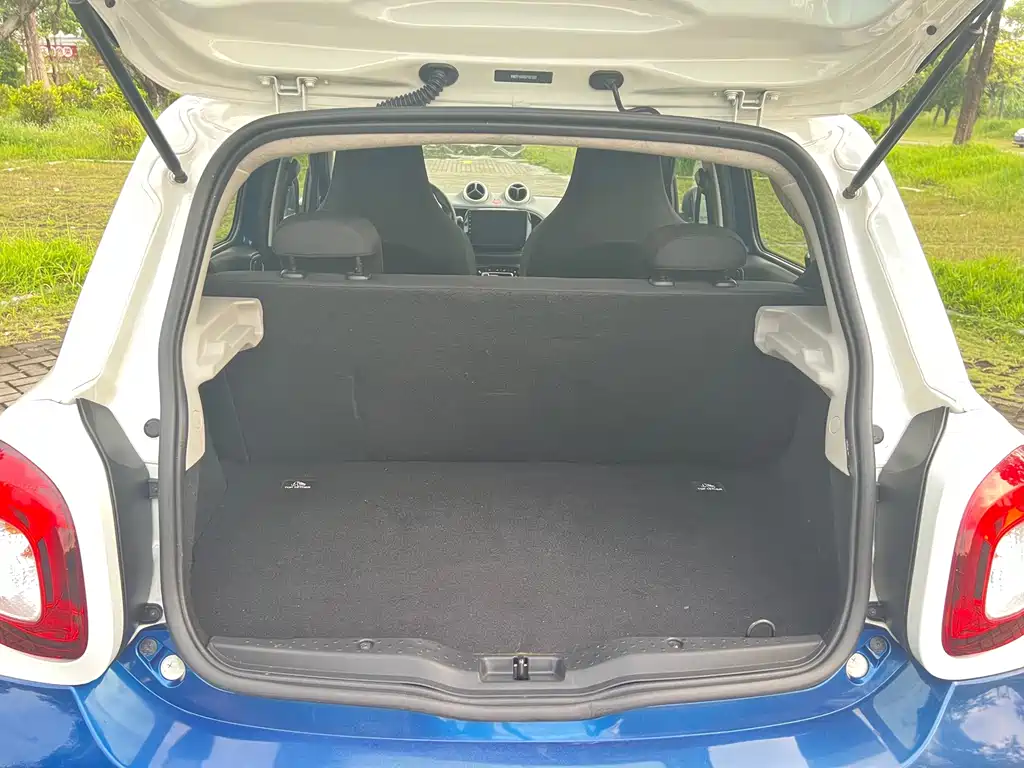 smart Smart Forfour — миниатюра 19
