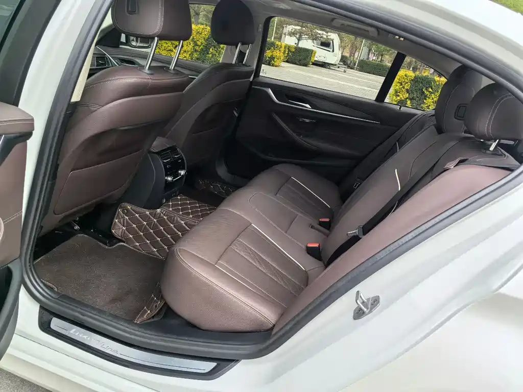 BMW 5 Series 5 2021 530Li Lead Luxury