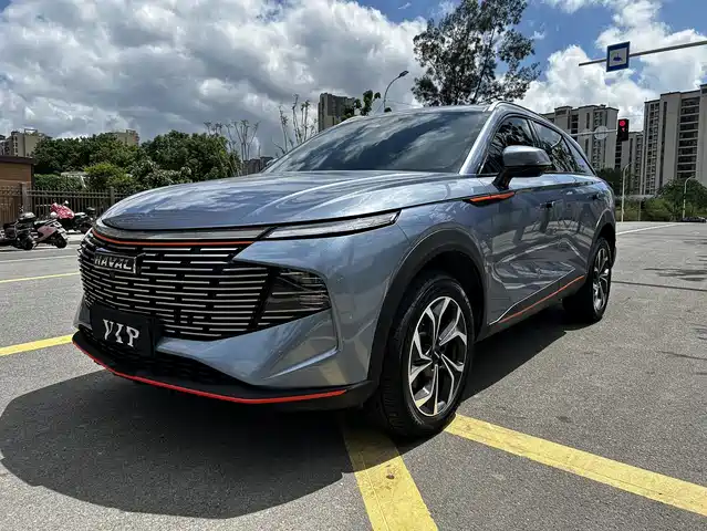 HAVAL  BEAST