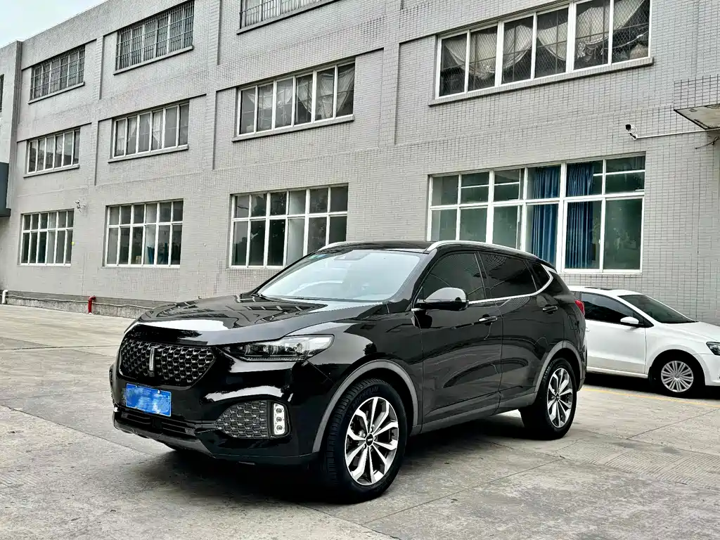 WEI PAI WEI BRAND VV6