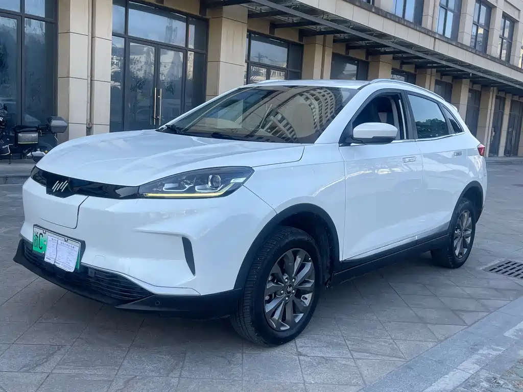 Weltmeister WEIMA EX5