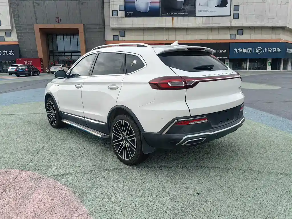 Leopaard Mattu — миниатюра 5