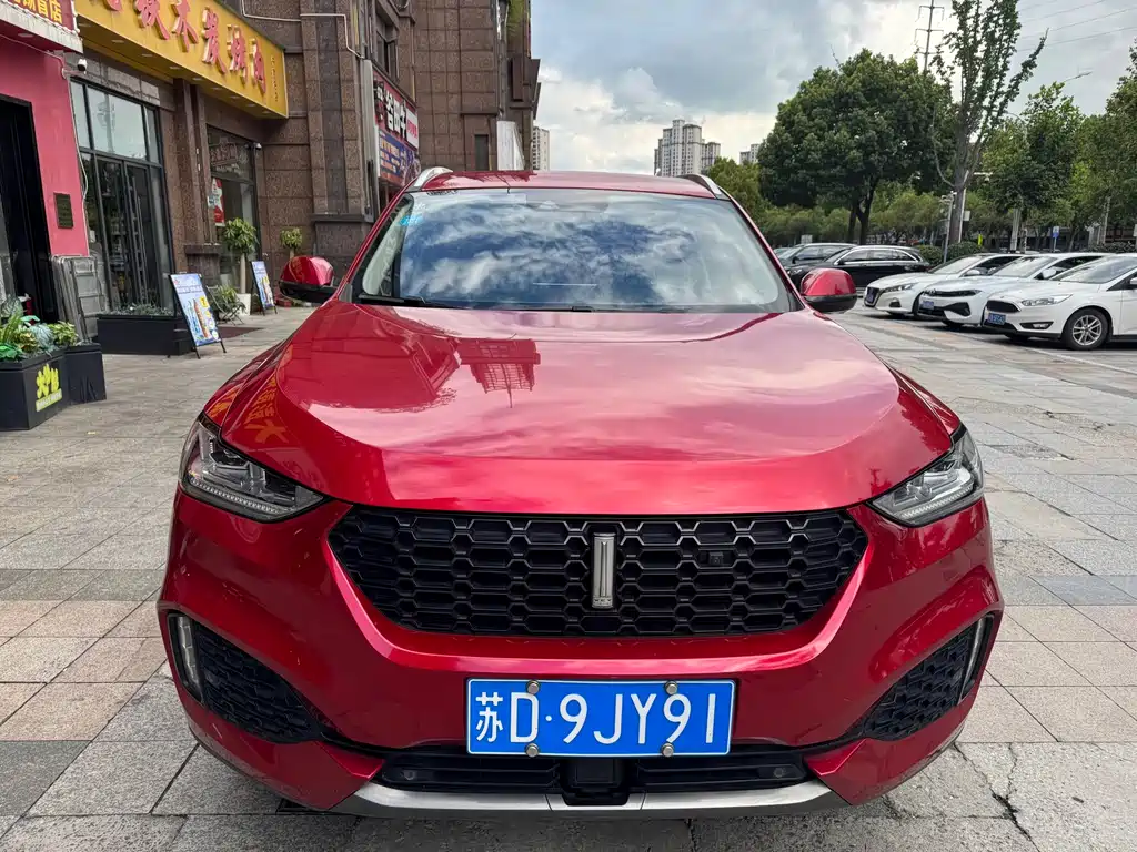 Wey Wey VV6