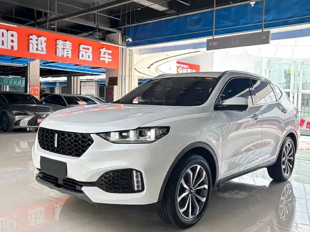 2019 Wey VV6