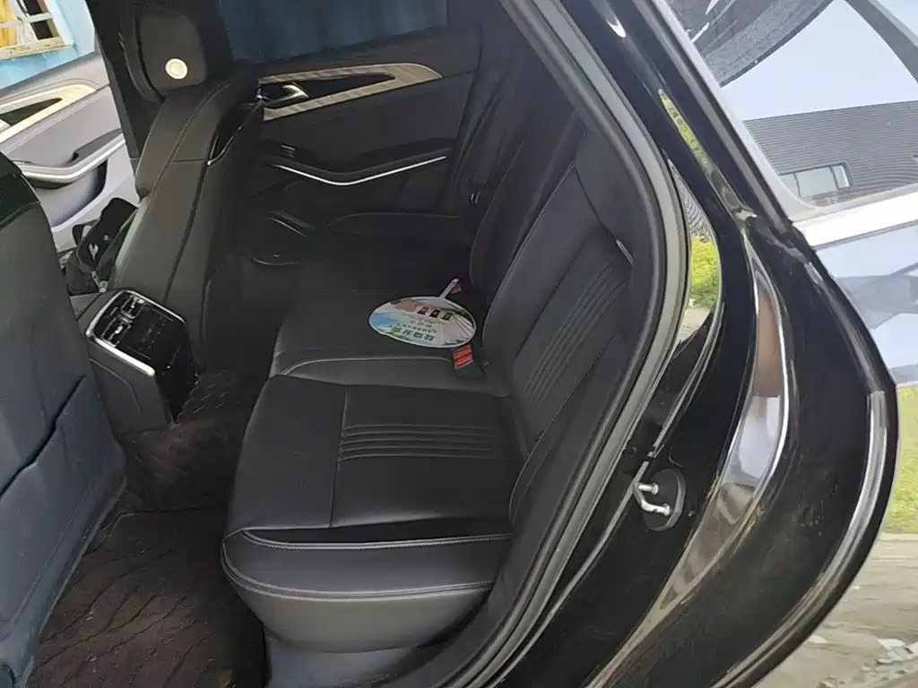 Hongqi Hongqi H9 — миниатюра 22