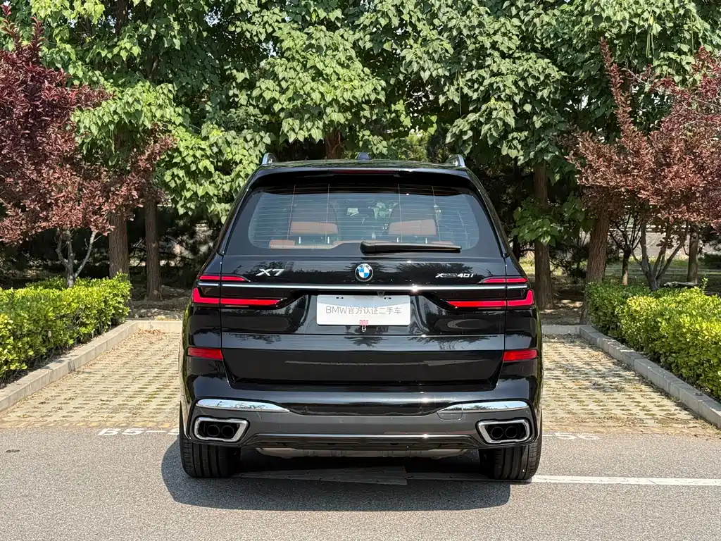 BMW X7 — миниатюра 3