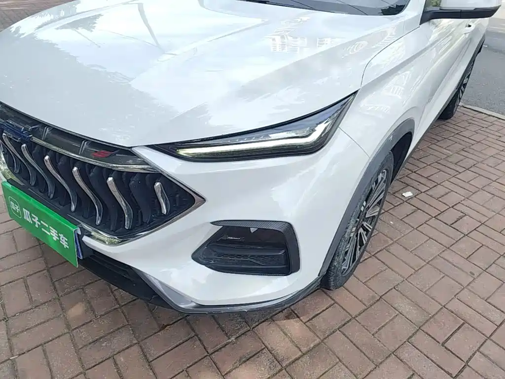 Oshan Oushang X5 — миниатюра 24