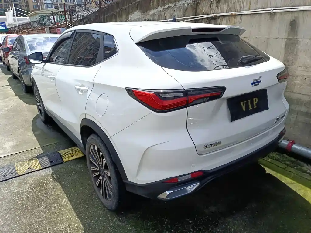 Oshan Oushang X5 — миниатюра 15