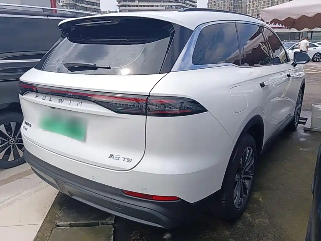 Fulwin Fengyun T9 — миниатюра 7