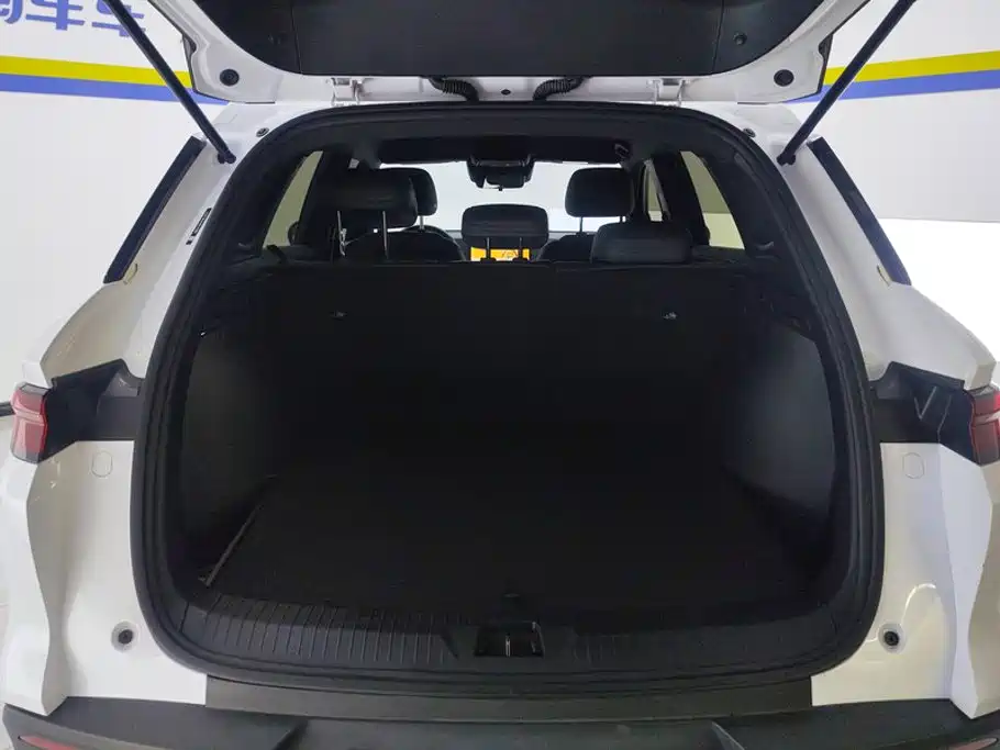 BYD Pro New Energy — миниатюра 4