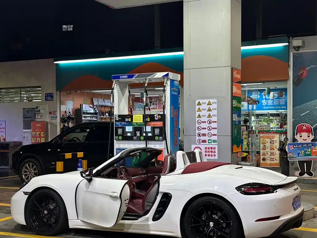 Porsche 718 — миниатюра 2