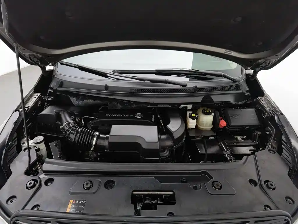 Buick GL8 — миниатюра 6