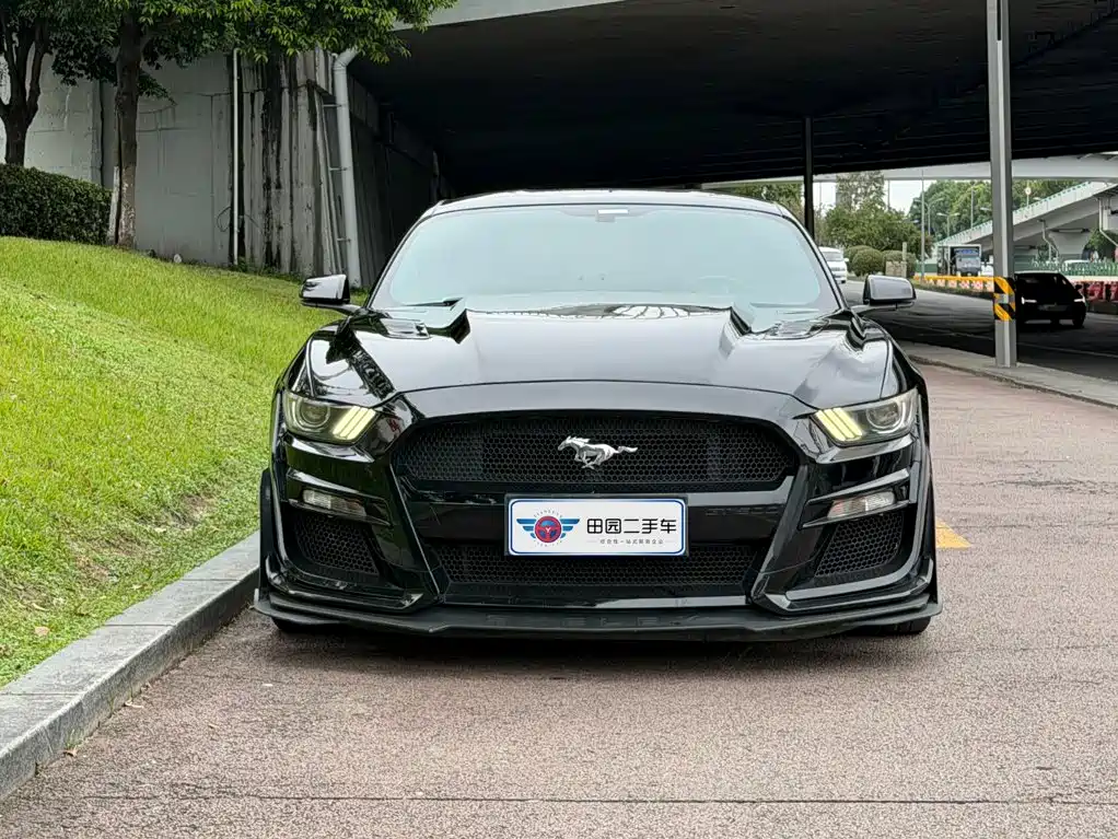 Ford Mustang — миниатюра 2