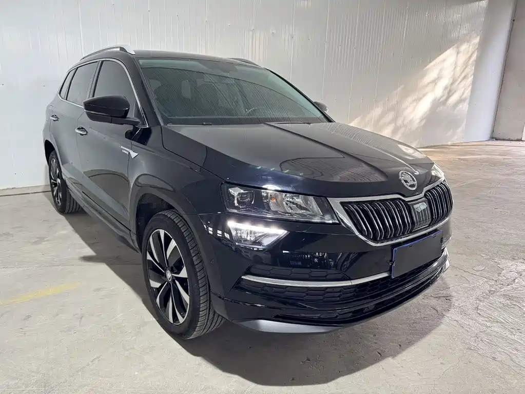 Skoda Karoq — миниатюра 2