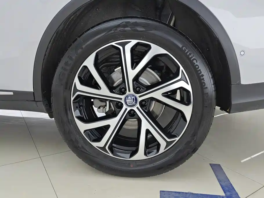 BYD Tang New Energy — миниатюра 6
