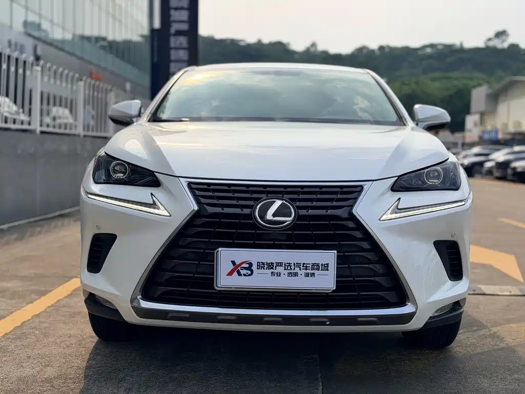 Lexus NX — миниатюра 2