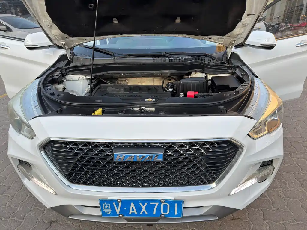 HAVAL M6
