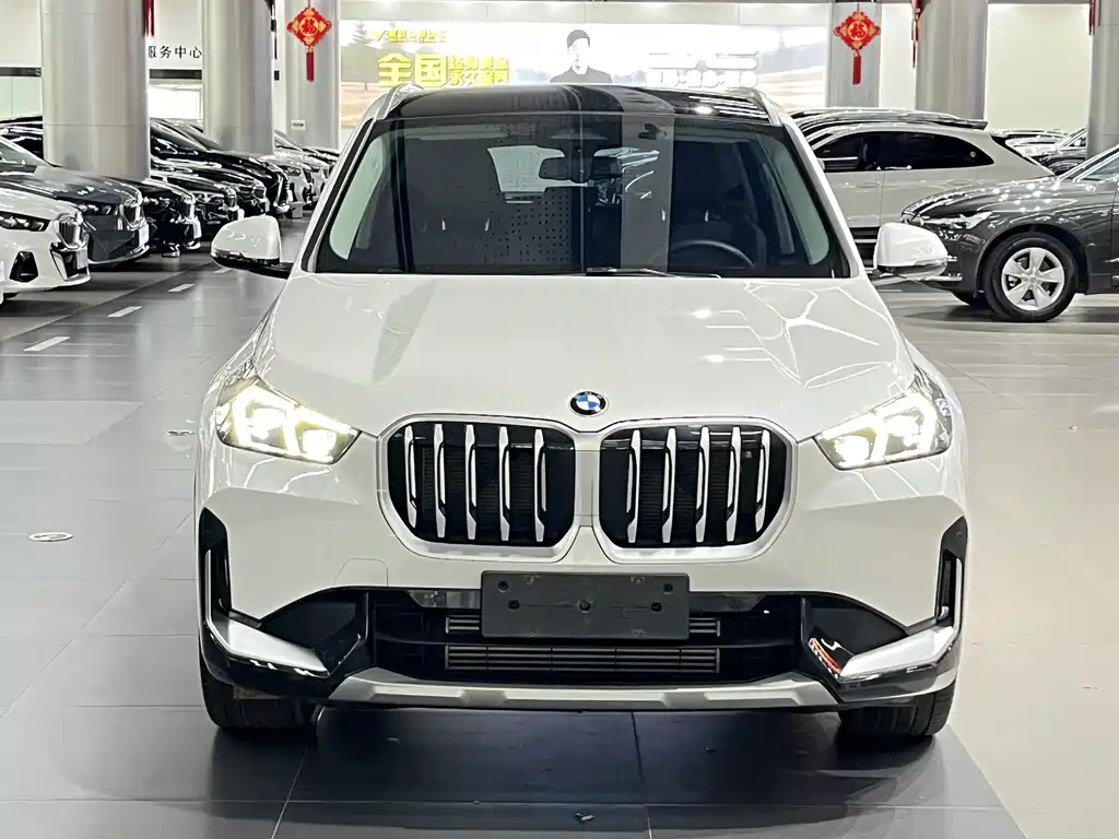 BMW X1 — миниатюра 2