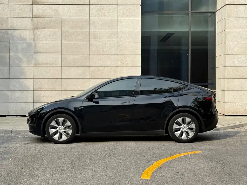 Tesla Model Y — миниатюра 4