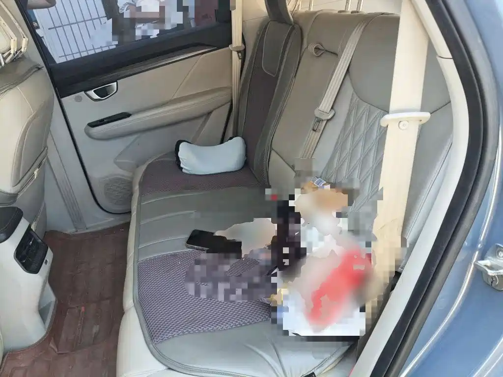 Wuling Xingchen — миниатюра 13