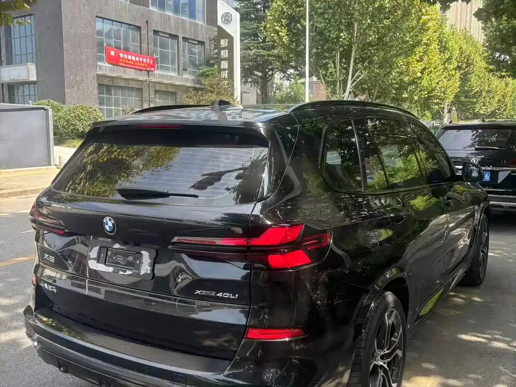 BMW X5 — миниатюра 8