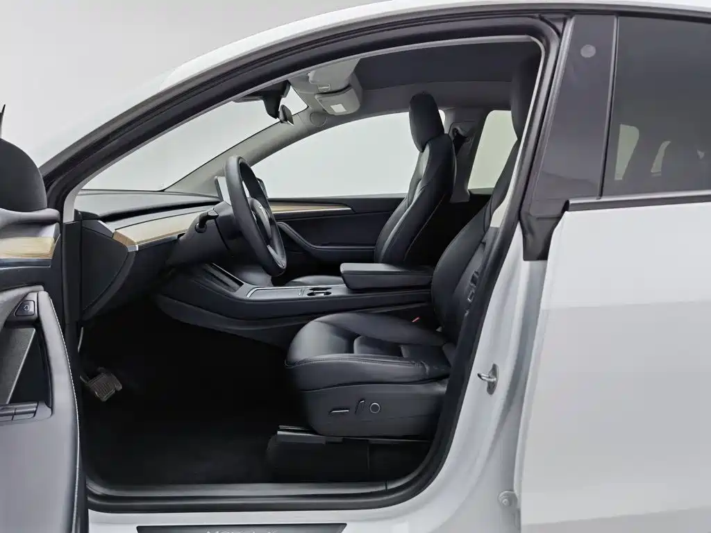 Tesla Model Y — миниатюра 10