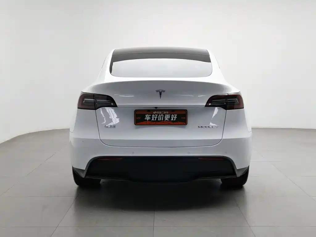 Tesla Model Y — миниатюра 4