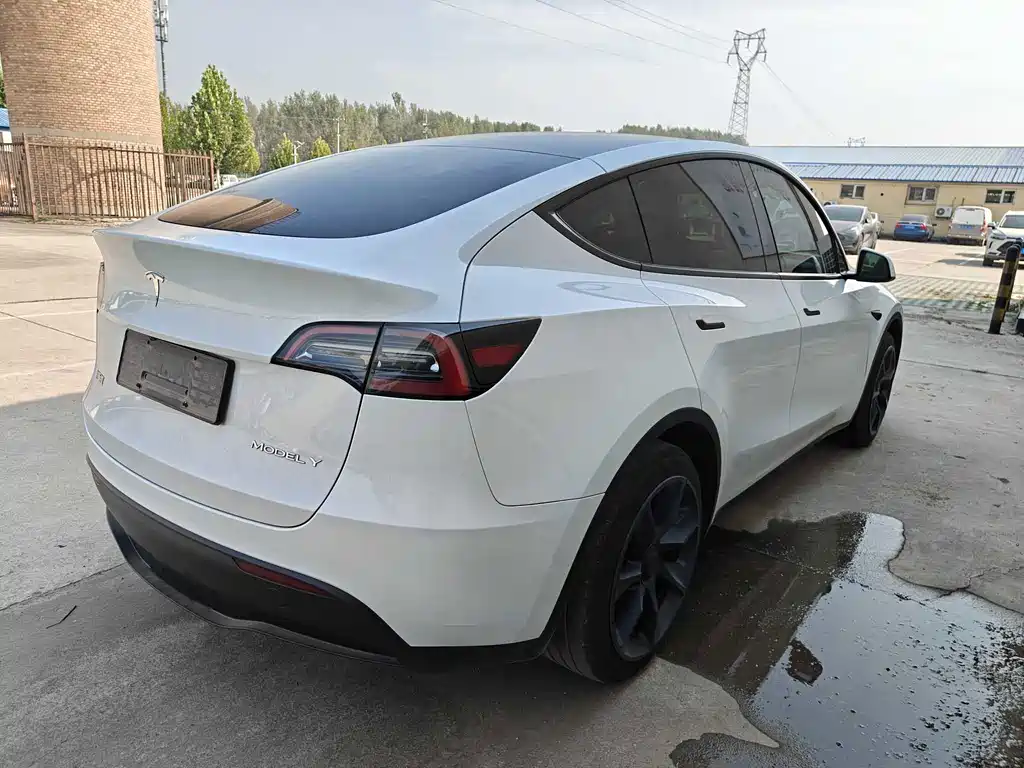 Tesla Model Y — миниатюра 4