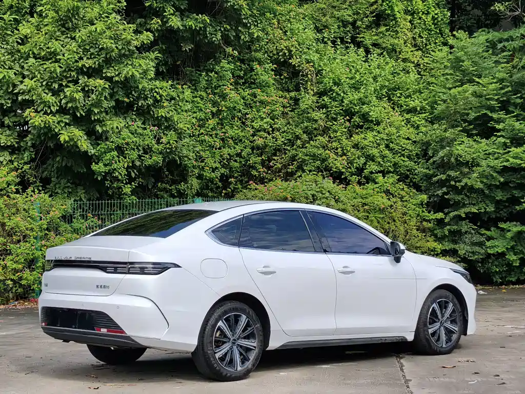 BYD Destroyer 05 — миниатюра 5