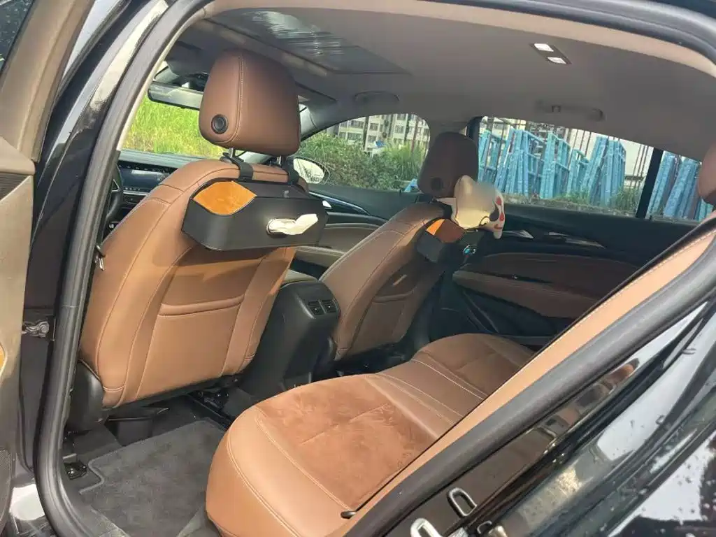 Buick Regal — миниатюра 10
