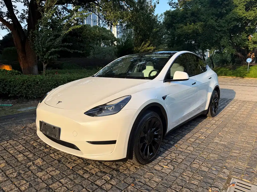 Tesla Model Y — миниатюра 2