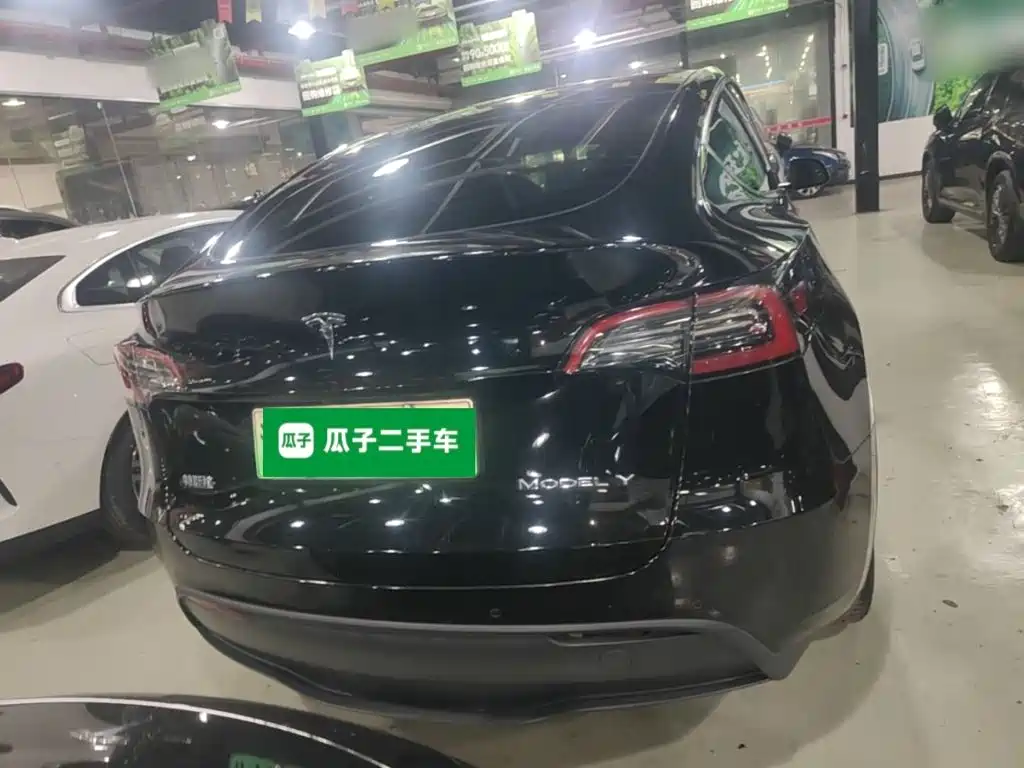 Tesla Model Y — миниатюра 6