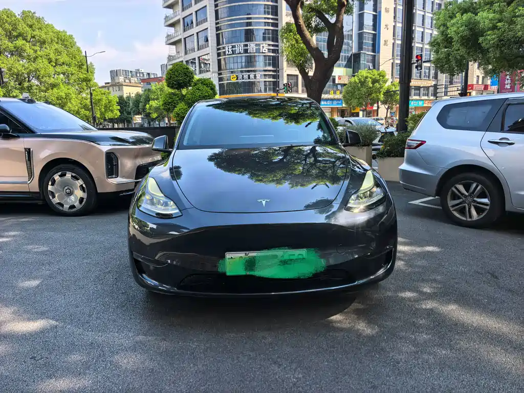 Tesla Model Y — миниатюра 2