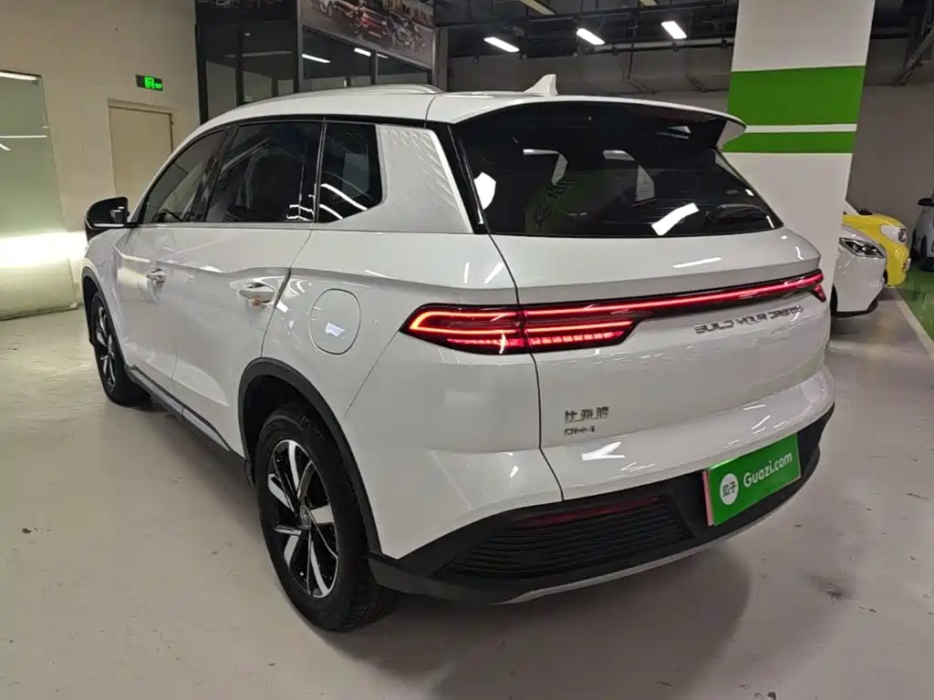 BYD Pro New Energy — миниатюра 5