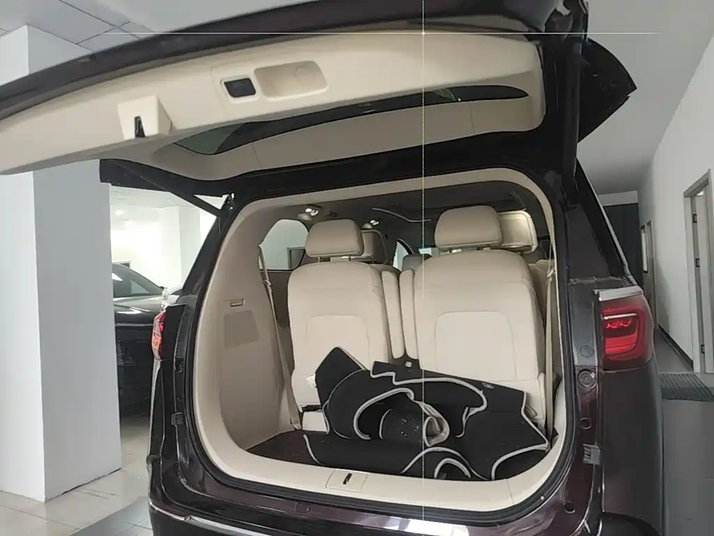 Buick GL8 — миниатюра 19