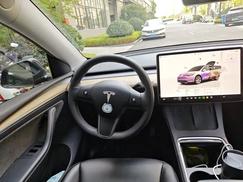 Tesla Model Y — миниатюра 11