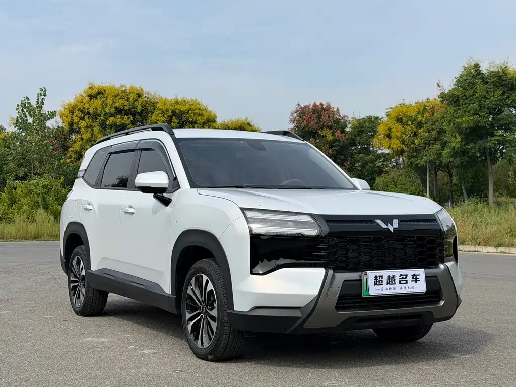 Wuling Xingguang 560 New Energy — миниатюра 3