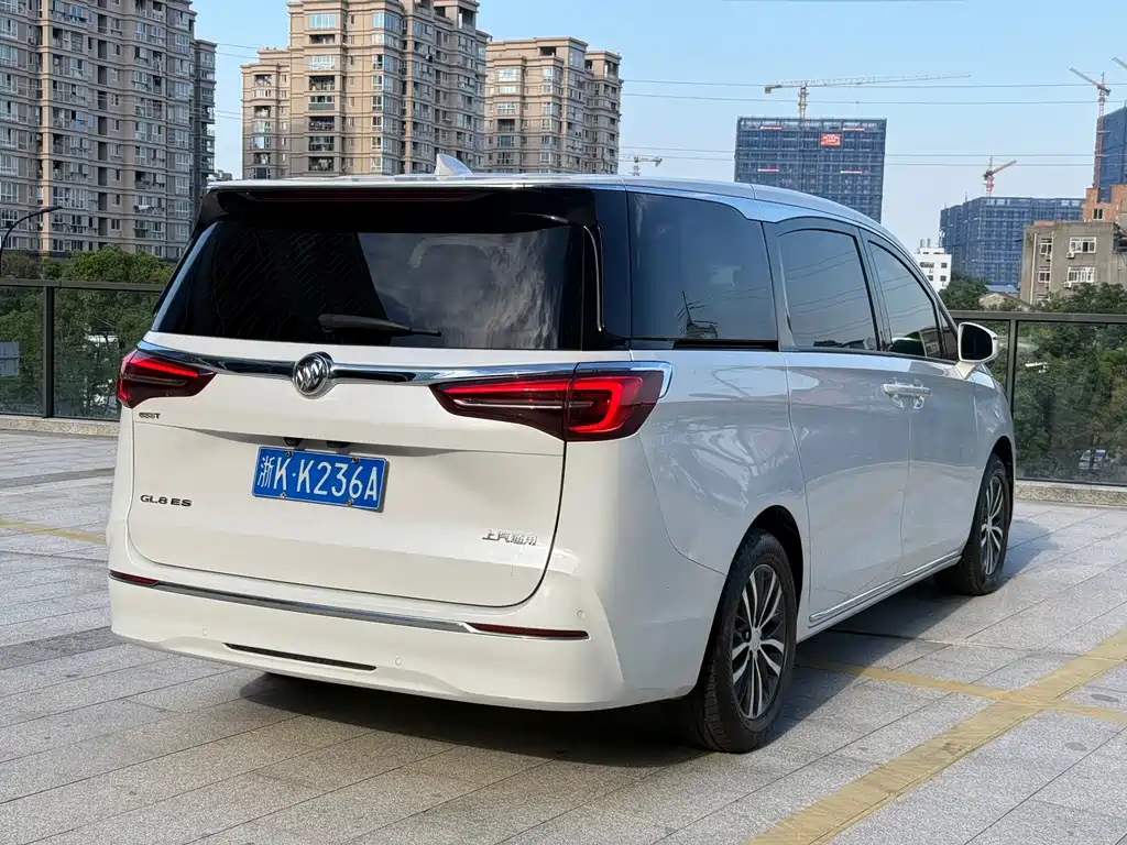 Buick GL8 — миниатюра 18